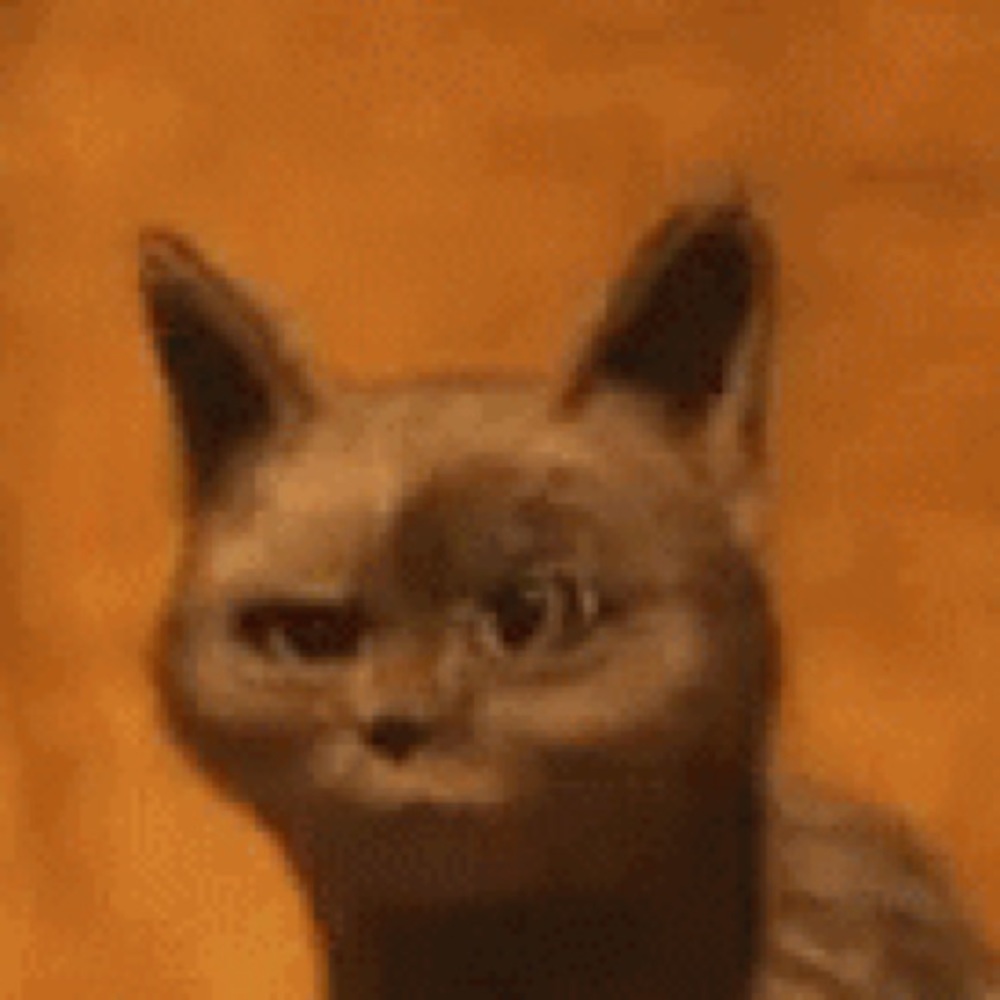 Meet your Posher, Kevin